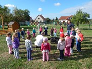 Sorbon - pes fotbalista